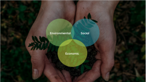 Our understanding of sustainability