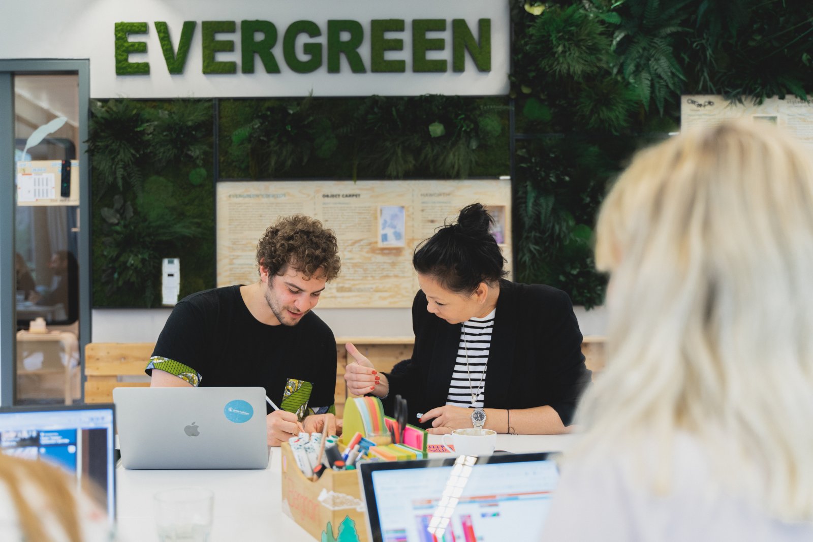 The Evergreen Concept - a sustainable new design approach!